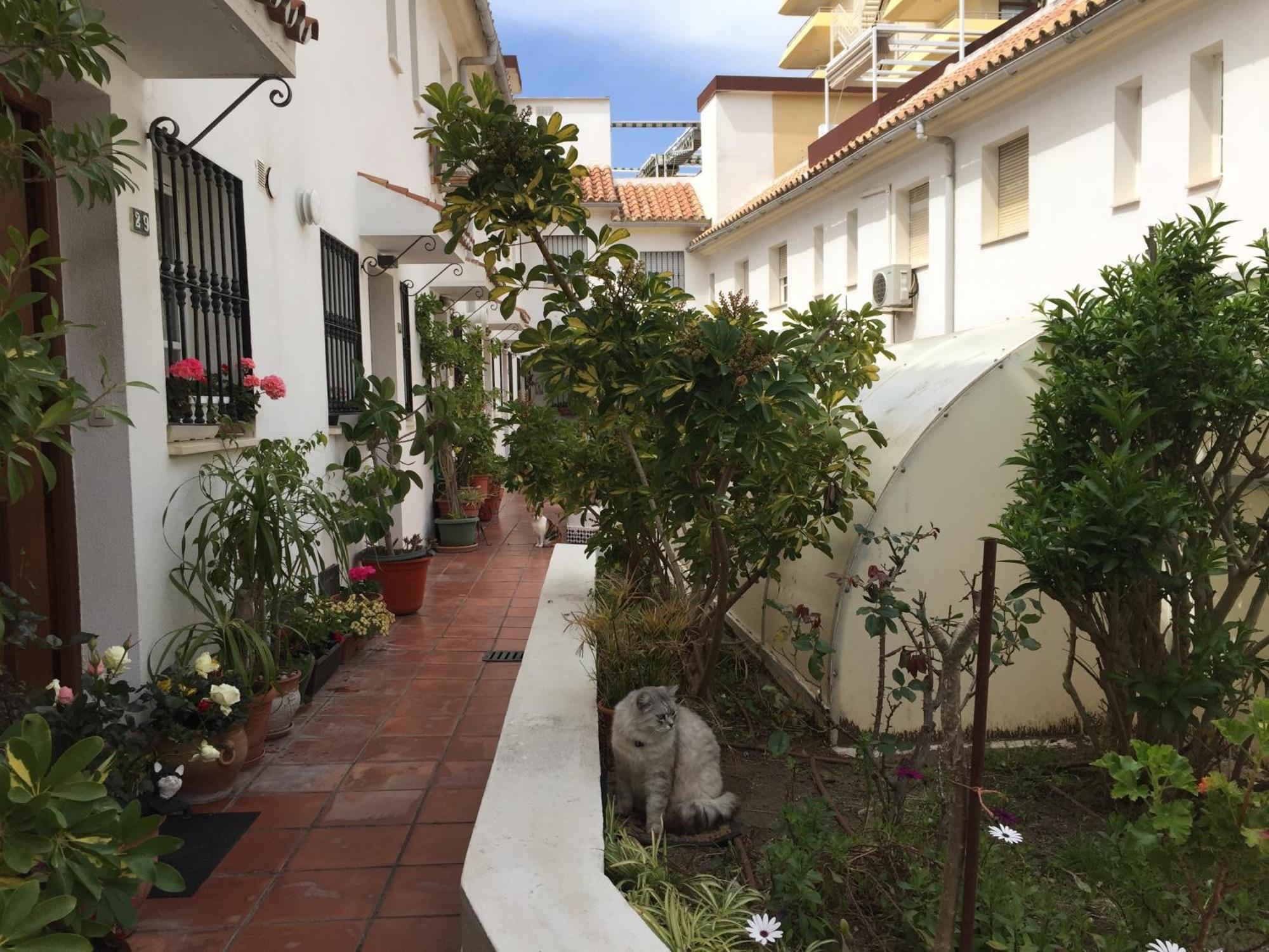 El Cortijuelo: Seaside Triplex with Rooftop Terrace Torremolinos Exterior photo